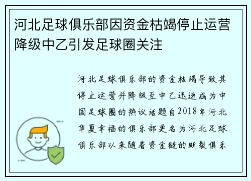 河北足球俱乐部因资金枯竭停止运营降级中乙引发足球圈关注